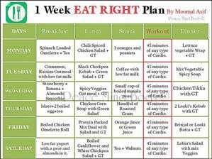 Free Healthy Vegan Meal Plans